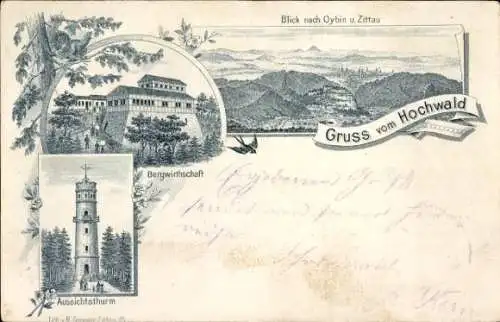 Litho Oybin Kreis Görlitz, Bergwirtschaft, Hochwald, Aussichtsturm