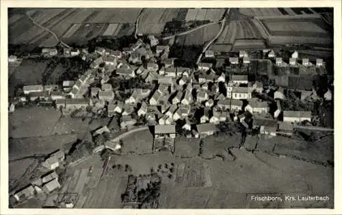 Ak Frischborn Lauterbach in Hessen, Luftaufnahme von Frischborn, Häuser, Felder, ländliche Umgebu