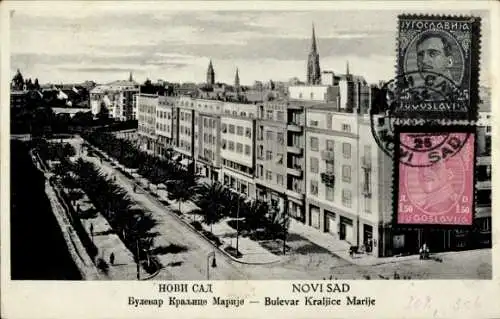 Ak Novi Sad Újvidék Neusatz Serbien, Bulevar Kraljice Marije