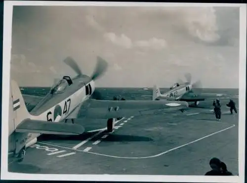 Foto Britisches Militärflugzeug Hawker Sea Fury