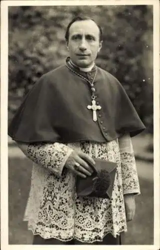 Ak Kardinal, Portrait