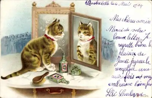 Litho Katze auf einem Schminktisch, Spiegel, Kosmetika