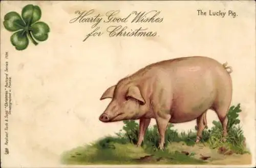 Ak Glückwunsch Weihnachten, Schwein, Glücksklee