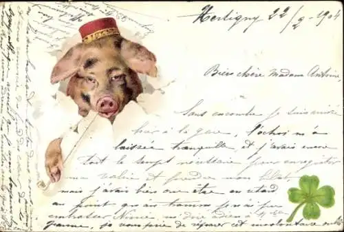 Litho Glückwunsch zum Neuen Jahre, Schwein, Klee
