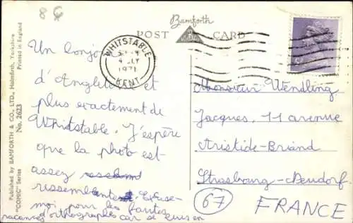 Künstler Ak Taylor, Schweine, Ferkel, Futtertrog