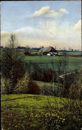 Ak Alpersbach Hinterzarten im Schwarzwald, Schwarzwald,  Haus, Wiese, Bäume