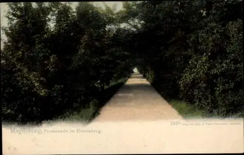 Ak Magdeburg an der Elbe, Herrenkrug Promenade