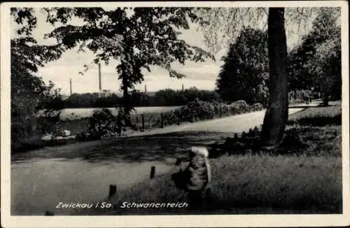 Ak Zwickau in Sachsen, Schwanenteich