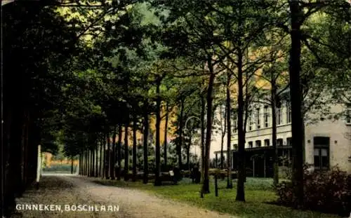 Ak Ginneken Breda Nordbrabant Niederlande, Allee mit Blick auf ein Haus
