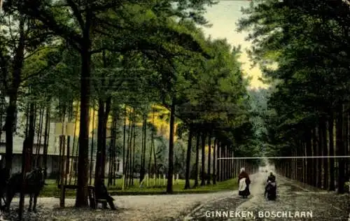 Ak Ginneken en Bavel Nordbrabant, Boschlaan