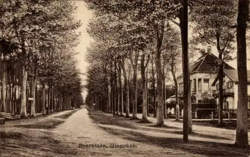Ak Ginneken Breda Nordbrabant Niederlande, Allee mit Bäumen, rechts ein Haus