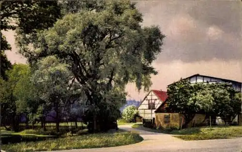 Ak Hofewiese Dresdner Heide, Photochromie, Nenke und Ostermaier 279 Nr. 4329, Fachwerkhaus