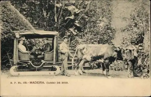 Ak Insel Madeira Portugal, Carro de Bois