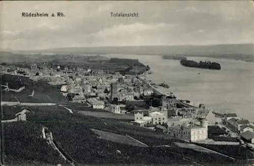 Ak Rüdesheim am Rhein, Gesamtansicht
