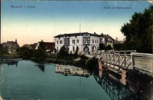 Ak Munster an der Örtze, am Mühlenteich