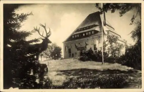 Ak Grillenburg Tharandt Sachsen, Historisches Gebäude, Hirschfigur, Natur, leicht bewölkter Himme