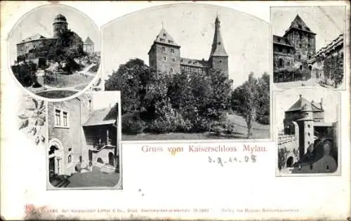 Ak Mylau Reichenbach im Vogtland, Ansichten vom Kaiserschloss, Blüte und Hagebutten