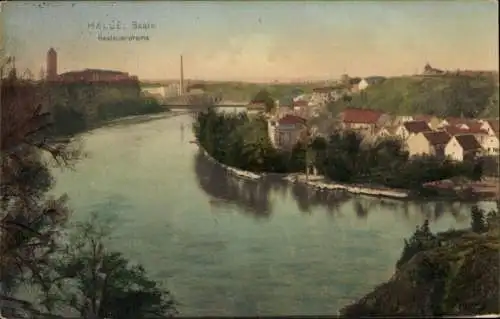 Ak Halle an der Saale, Panoramaansicht der Saale, Gebäude am Fluss, natürliche Landschaft