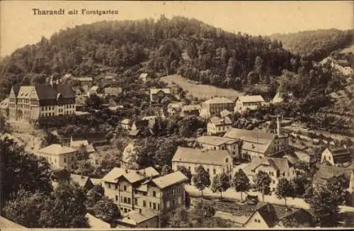 Ak Tharandt im Erzgebirge, Teilansicht des Ortes mit Blick zum Forstgarten