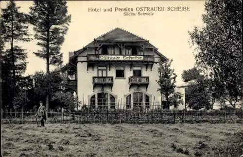 Ak Ostrau Bad Schandau an der Elbe, Hotel und Pension Ostrauer Scheibe, Besitzer Otto Rämisch