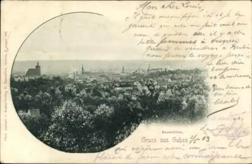Ak Guben in der Niederlausitz, Panorama, Blick über die Dächer