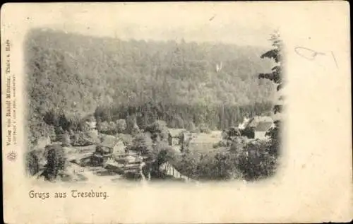 Ak Treseburg Thale im Harz, Landschaftsaufnahme, Teil der Stadt, Wald im Hintergrund,  