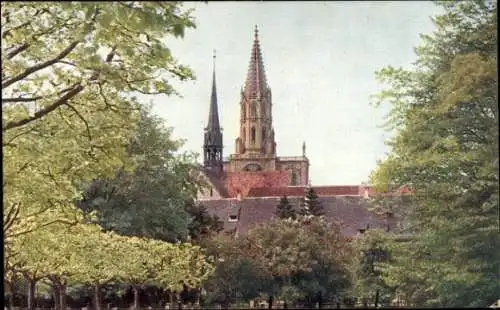 Ak Konstanz am Bodensee, Blick vom Stadtgarten auf das Münster, hohe Türme, Bäume im Vordergrund