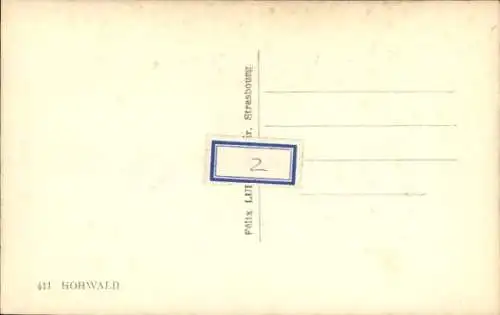 Ak Le Hohwald Elsass Bas Rhin, Panorama