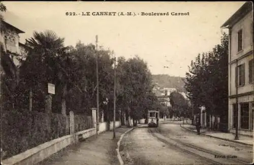 Ak Le Cannet Alpes Maritimes, Boulevard Carnot, Straßenbahn, Palmen, Bäume