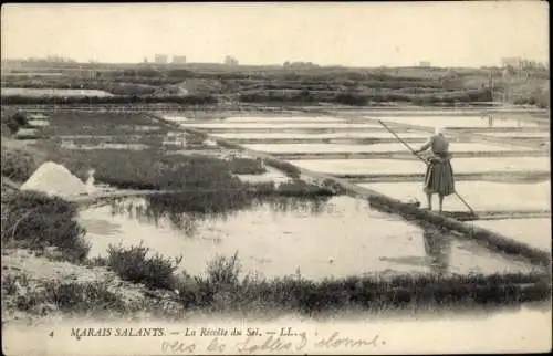 Ak Marais Poitevin Deux Sèvres, Salzfelder, Frau mit Besen,  Aufnahme
