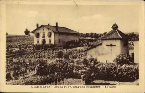 Ak Lyon Rhône, Ecole d'Agriculture de Cibeins, Weinberge,  Gebäude