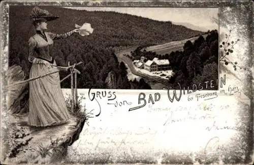 Vorläufer Litho Treseburg Thale im Harz, Bad Wildstein