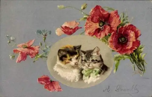 Passepartout Ak zwei junge Katzen, Mohnblumen