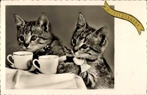 Ak Zwei junge getigerte Katzen, Teetassen, Amag 70194