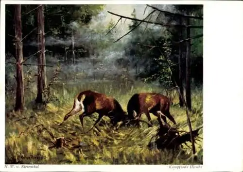 Künstler Ak Riesenthal, H. W. von, Kämpfende Hirsche