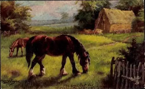 Künstler Ak Payne, Harry, Pferde