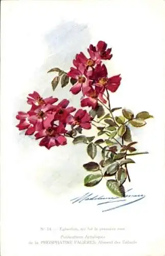 Künstler CPA Reklame, Phosphatine Falieres, Aliment des Enfants