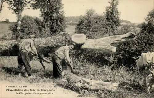 Ak Bourgogne Marne, Holzfäller bei der Arbeit