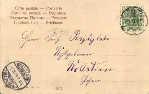 Ak Wolsztyn Wollstein in Posen, Vorderseite einer Postkarte mit drei Schwänen auf einer Wiese ...