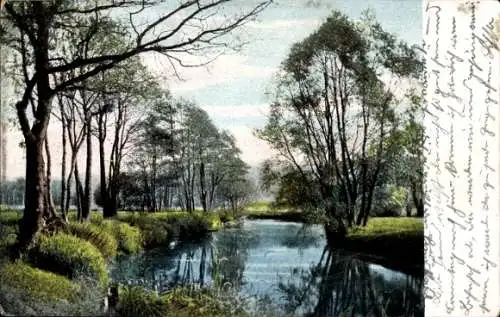 Ak Wolsztyn Wollstein in Posen, Bäume am Ufer eines Flusses.