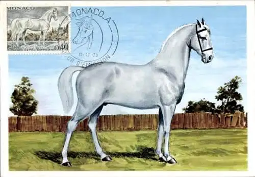 Ak Monaco, Pferd, Briefmarke, Poststempel