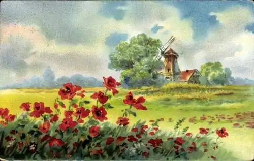 Ak Dettingen (Hohenzollern) Horb am Neckar, Mohnblumenfeld mit einer Windmühle im Hintergrund.