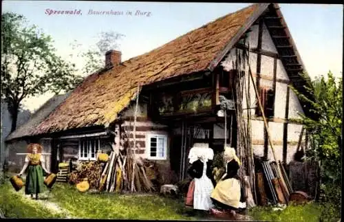 Ak Burg im Spreewald, Bauernhaus