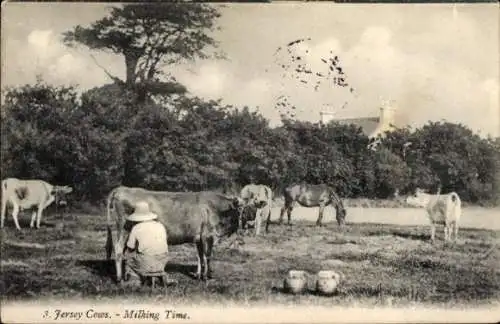 Ak Kanalinsel Jersey, Jersey Kühe, Melkzeit, Person mit Hut, zwei Milchkübel