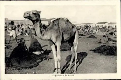 Ak Djibouti Dschibuti, Marktszene mit Kamel, Menschen und Gebäuden im Hintergrund