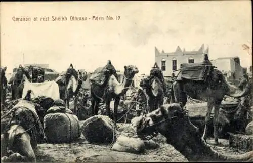 Ak Aden Jemen, Karawane bei der Pause, Scheich Othman
