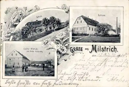 Ak Milstrich Oßling Ossling in der Oberlausitz, Schule, Schloss, Gasthof  Anton Karpinsky