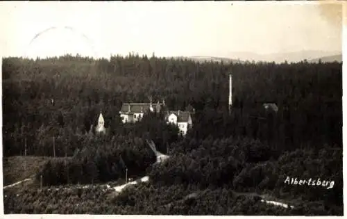 Ak Albertsberg Auerbach im Vogtland, Landschaft mit Wald, Gebäude,  Architektur, 