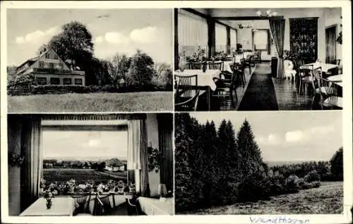 Ak Wendthagen Stadthagen in Niedersachsen,  mit Hotel, Caféeräumen, Aussicht und Wald, 4 Schwarz-