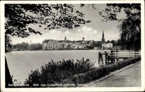 Ak Berlin Köpenick, Blick vom Louisenhain über die Dahme